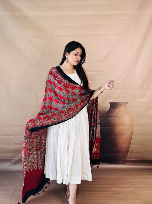 Rust Orange Ajrakh Modal Silk Lagdi Patta Dupatta
