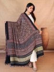 Elegant Indian Fashion Portrait-3