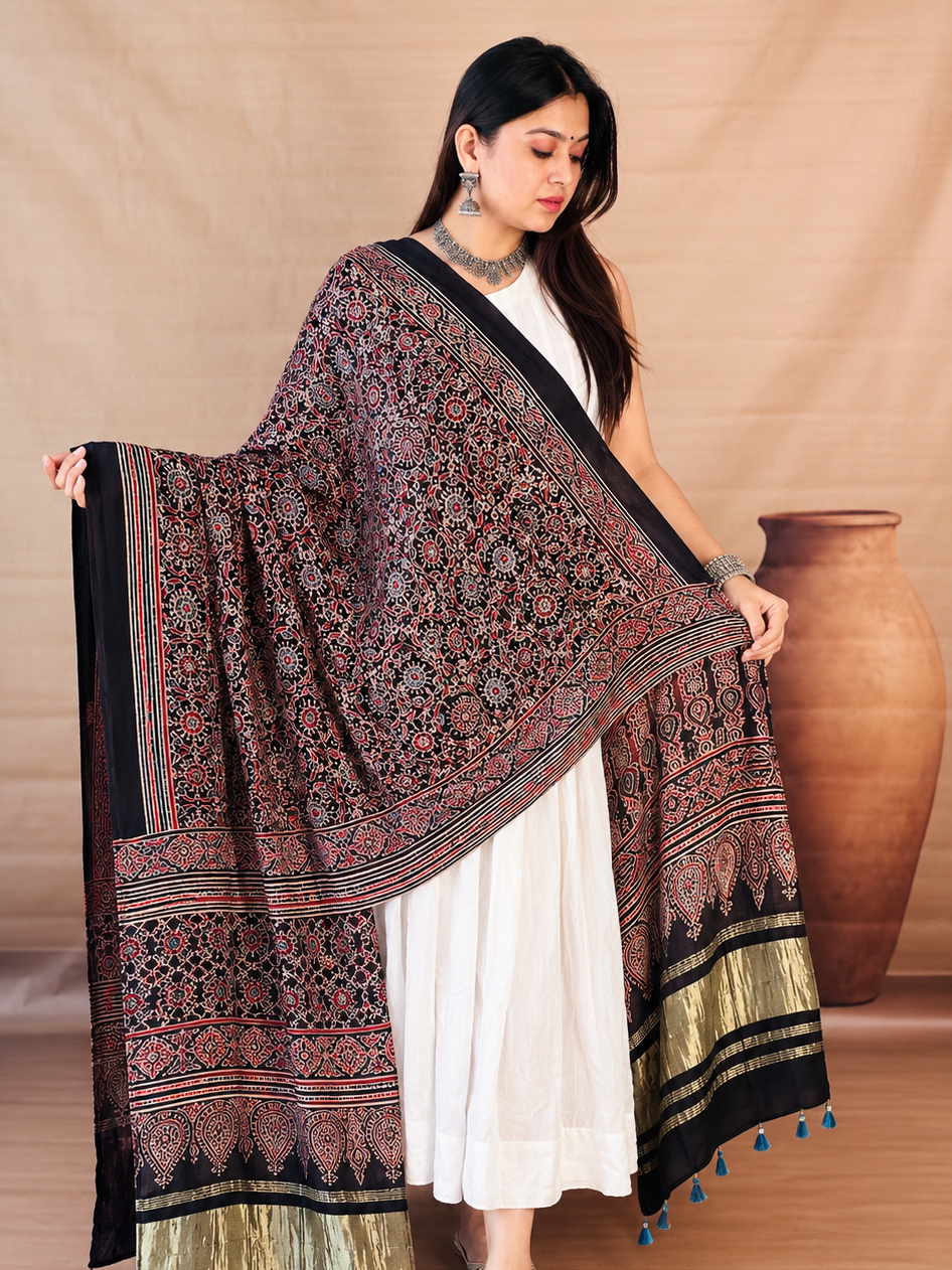 Elegant Shawl Fashion Portrait-2