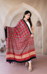 Elegant Red Paisley Draping Portrait-3
