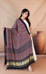Traditional Dupatta Studio Portrait-1