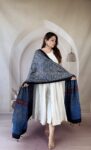 indigo-ajrakh-modal silk-dupatta-medallion-chevron-zari-1