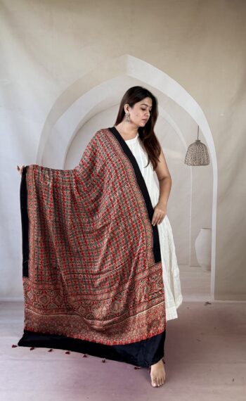 Red and black Ajrakh modal silk dupatta with fine geometric grid and ornate medallion palla